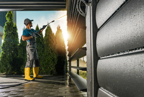 Best Driveway Pressure Washing  in Viola, IL